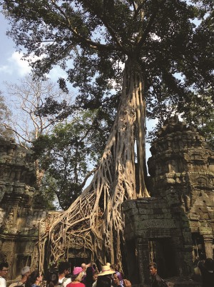 Heritage (Ganesh in Thailand_tree300.jpg